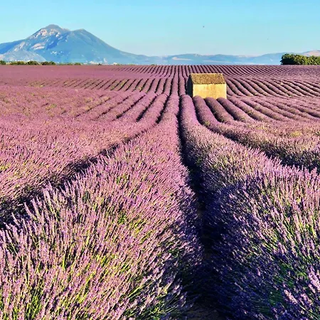 La Colle En Provence Main House *
