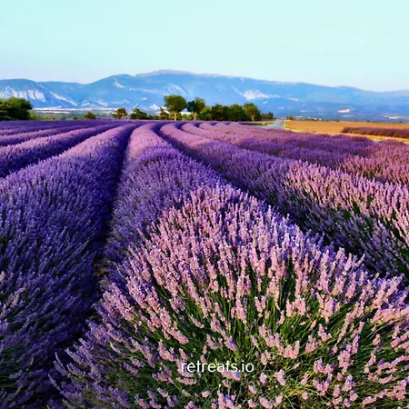 펜션 La Colle En Provence Main House Sigonce